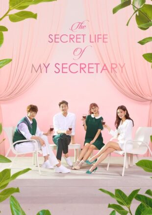 The Secret Life of My Secretary Season 1 Hindi Dubbed 480p 720p 1080p