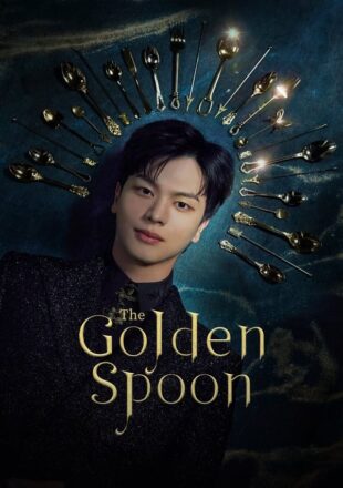 The Golden Spoon Season 1 Dual Audio Hindi-Korean 480p 720p 1080p