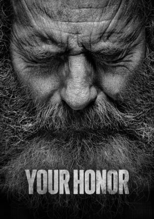 Your Honor Season 1-2 Dual Audio Hindi-English 480p 720p 1080p