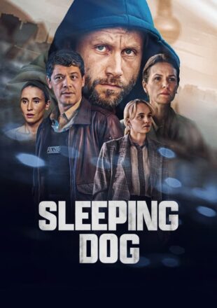 Sleeping Dog Season 1 Dual Audio Hindi-English 480p 720p 1080p